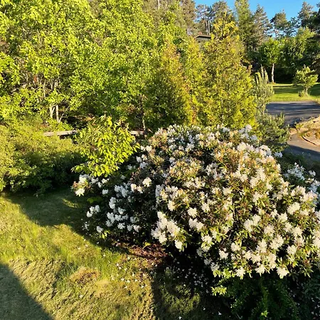 Dom wakacyjny 3 Bedroom Summerhouse With Scenic View -only 1h From Oslo